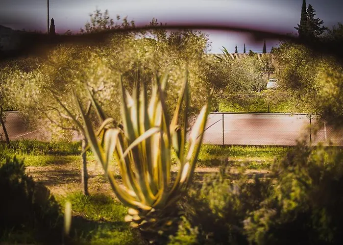 Il Mandorlo 4* Lacona