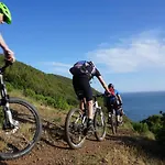 Il Mandorlo 4*